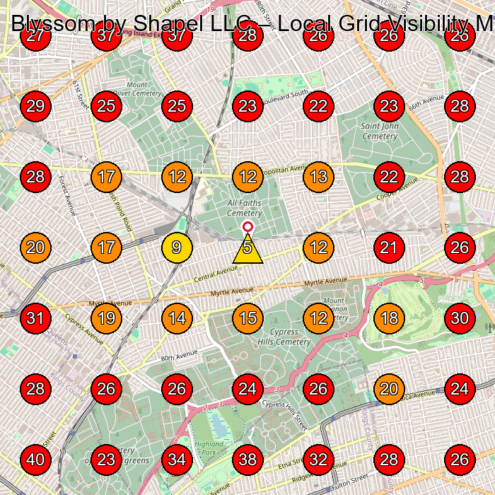 Blyssom by Shapel LLC GeoGrid visibility map for Health And Beauty Shop in Queens